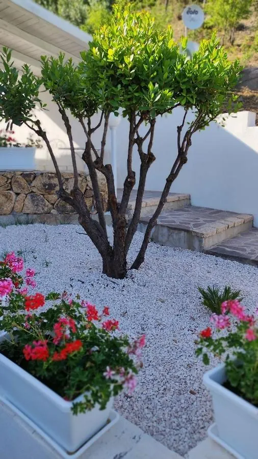 Bed & Breakfast Casa L'Ulivariu Affittacamere San Teodoro  Italy