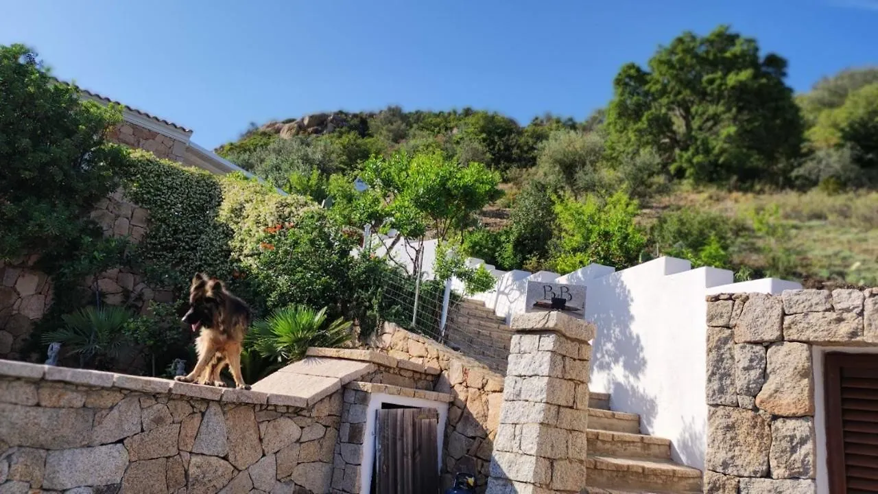 Bed & Breakfast Casa L'Ulivariu Affittacamere San Teodoro