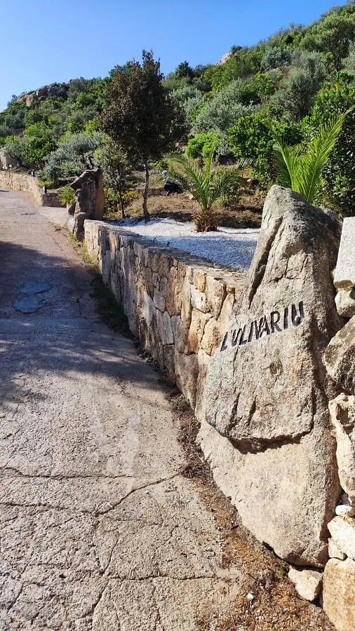 Casa L'Ulivariu Affittacamere San Teodoro