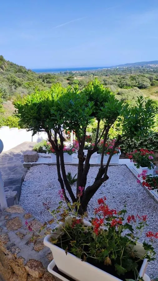 Casa L'Ulivariu Affittacamere San Teodoro