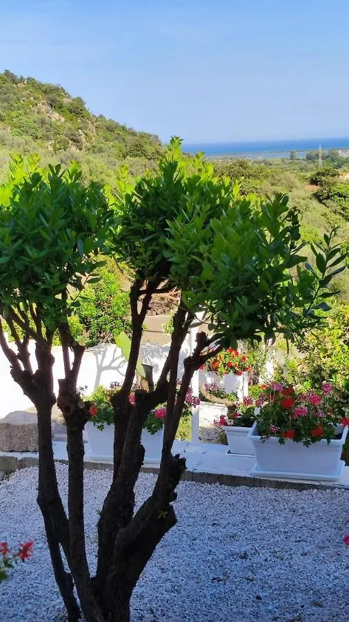 Casa L'Ulivariu Affittacamere San Teodoro  Italy