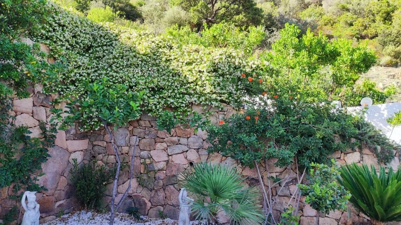Casa L'Ulivariu Affittacamere San Teodoro  Bed & Breakfast San Teodoro (Sardinia)