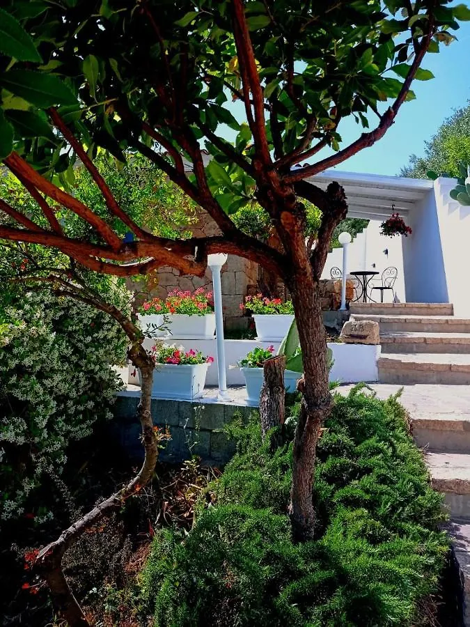 Casa L'Ulivariu Affittacamere San Teodoro  Bed & Breakfast San Teodoro (Sardinia)