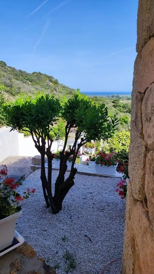 Casa L'Ulivariu Affittacamere San Teodoro  0*, San Teodoro (Sardinia)