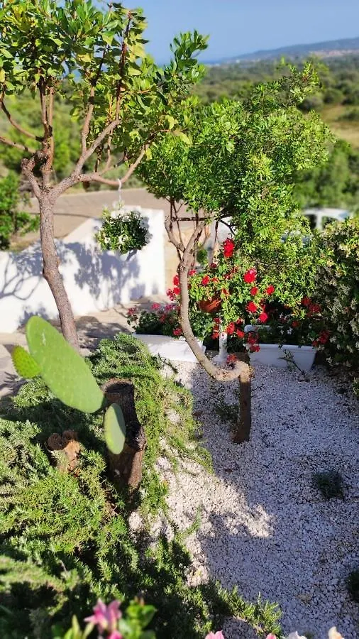 Bed & Breakfast Casa L'Ulivariu Affittacamere San Teodoro  Itálie